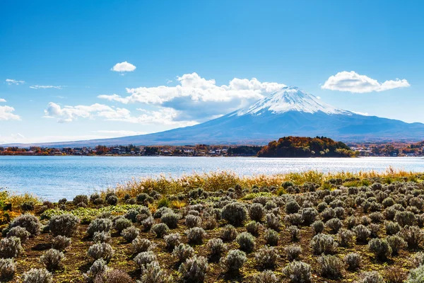 Fuji de montanha com lago kawaguchi — Fotografia de Stock