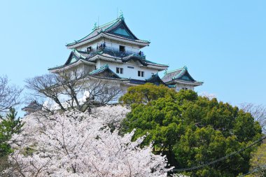wakayama Japon kale 