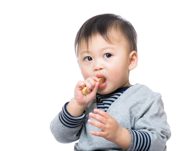 Asian baby boy eating biscuit — Stock Photo, Image