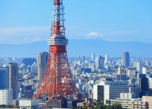 Tokyo City aeril View — Stockfoto