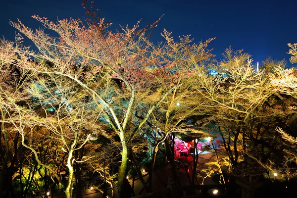 Jepang taman di malam hari — Stok Foto