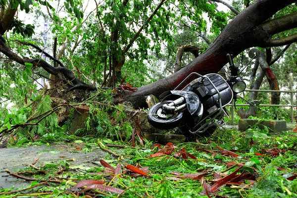 Uszkodzonych po ataku tajfun — Zdjęcie stockowe