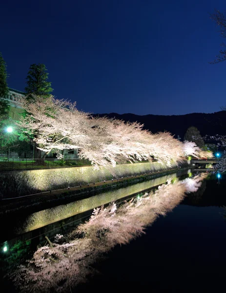 Biwa kanál s sakura strom v Kjótu — Stock fotografie