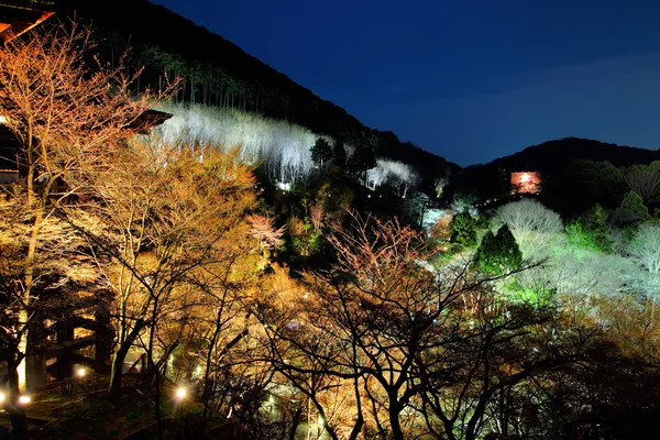 Японський храм вночі. — стокове фото