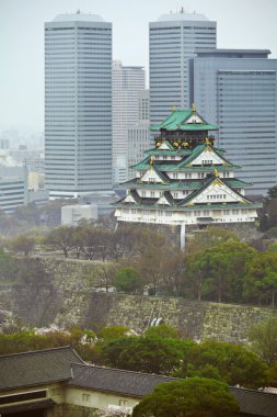 Osaka city tarihi Kalesi ile