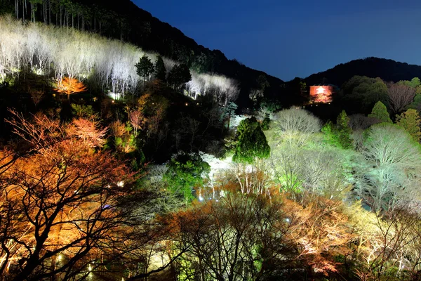 Japanese temple — Stock Photo, Image