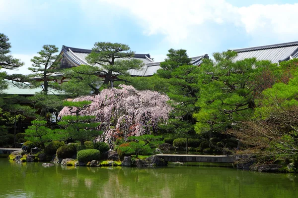 Tropische tuin met Japanse stijl paviljoen — Stockfoto