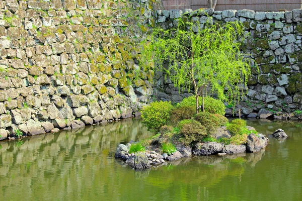 Jardim japonês com lago — Fotografia de Stock