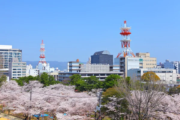 Ciudad de Wakayama —  Fotos de Stock