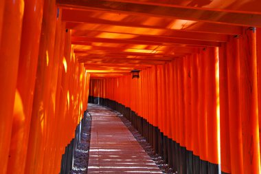 Fushimi Inari taisha tapınak kyoto City