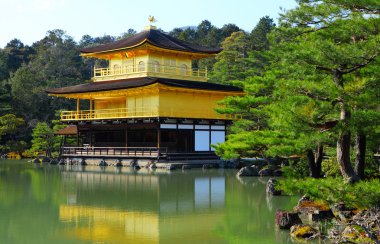 Altın Tapınağı'nda kyoto