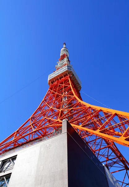 Torre de Tokio en tiempo del día — Stok fotoğraf