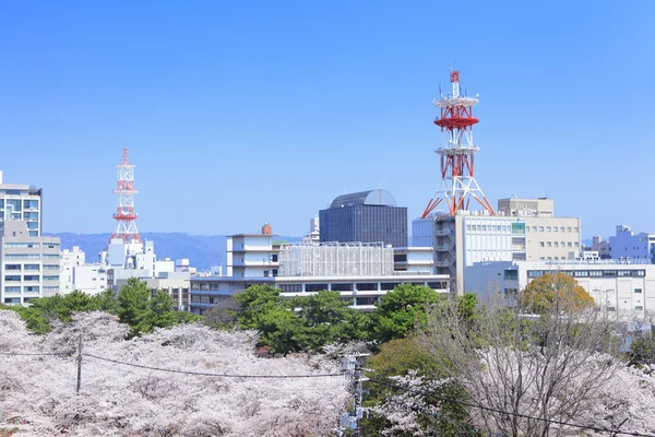 Paisaje urbano de Wakayama —  Fotos de Stock