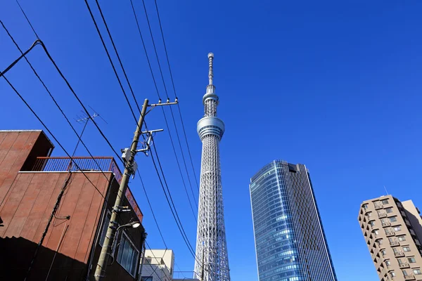 Tokyo Panorama architektura Asie — Stock fotografie