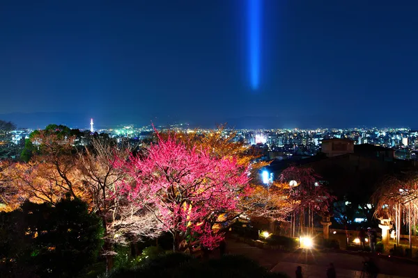 Templo japonés en la ciudad de Kyoto por la noche — Foto de Stock