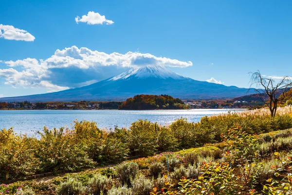 Mount fuji från sjön kawaguchiko — Stockfoto