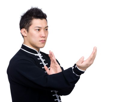 Kung fu dövüşçüsü