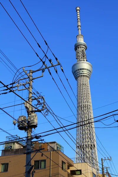 Ciel arbre de Tokyo — Photo