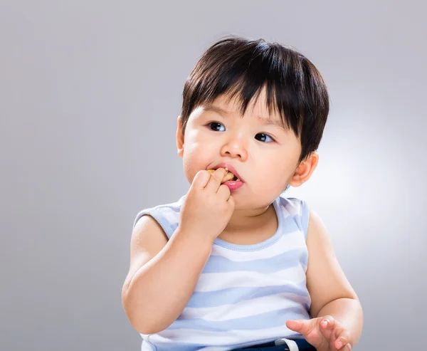 Pojke äter cookie — Stockfoto