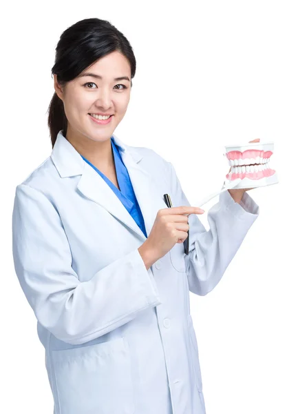 Dentista femenino — Foto de Stock