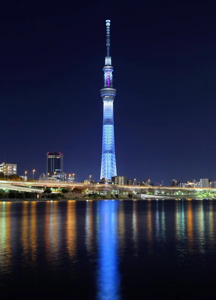 Notte di Tokyo — Foto Stock