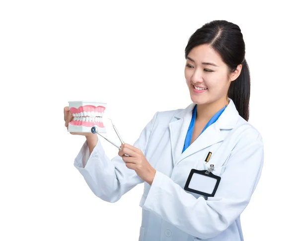 Азиатская женщина-врач с зубными протезами — стоковое фото