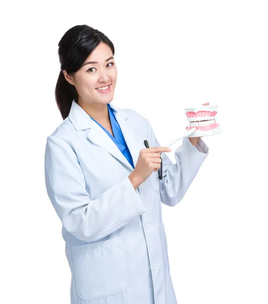 Asian female dentist show denture — Stock Photo, Image