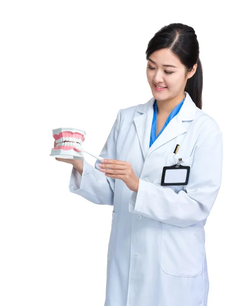 Medico femminile mostra protesi — Foto Stock