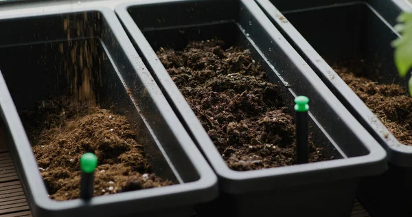 Preparare Terreno Piantina Semenzaio Nel Giardino Casa — Foto Stock