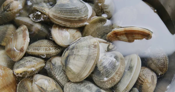 Tabakta Taze Çiğ Deniz Ürünleri — Stok fotoğraf