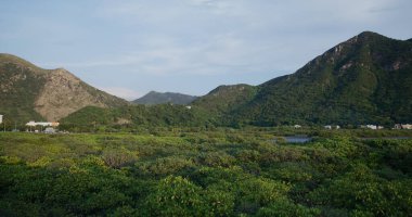 Mavi gökyüzü ile dağ