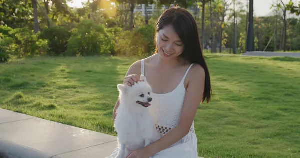 Mulher Sair Com Seu Cão Parque — Fotografia de Stock