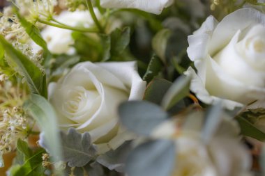 Beyaz çiçek buketi yaklaş.