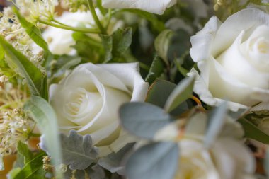 Beyaz çiçek buketi yaklaş.