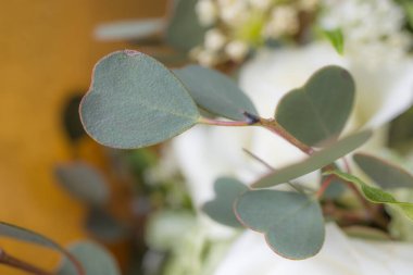 Güzel beyaz çiçek buketi 