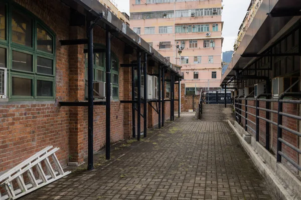 Tau Kok Hong Kong Septiembre 2021 Pueblo Artistas Depósitos Ganado —  Fotos de Stock