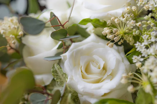 Buquê Flores Brancas Perto — Fotografia de Stock