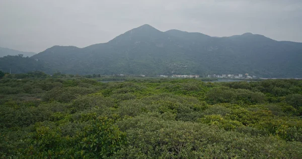 Montanha Mar Tai — Fotografia de Stock