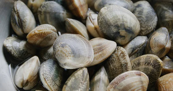 Fresh Raw Clam Prepare Cooking — Stock Photo, Image