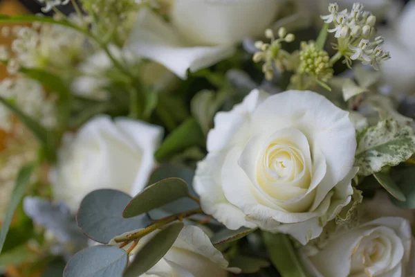 Красивий Ніжний Білий Квітковий Букет — стокове фото