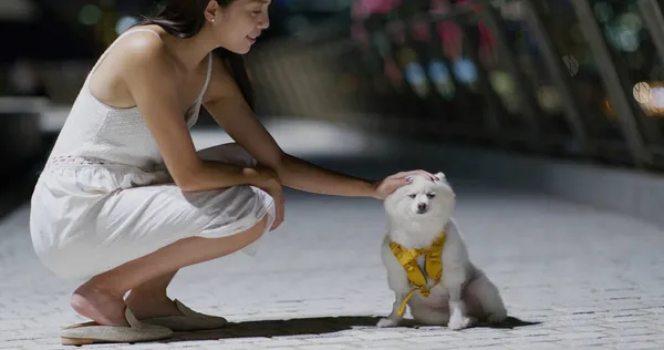 Mujer Abrazar Perro Aire Libre Noche — Foto de Stock