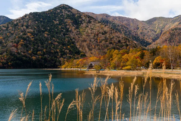秋の山と湖 — ストック写真