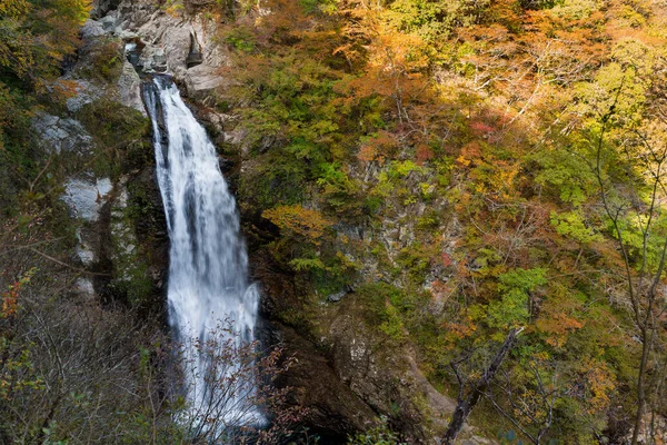 秋の森の中の美しい滝 — ストック写真