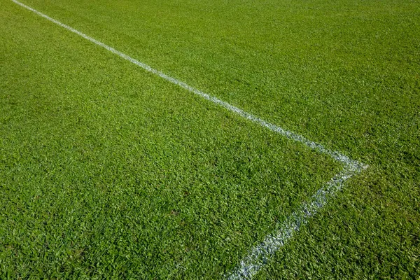 Weiße Linie Über Dem Fußballplatz — Stockfoto