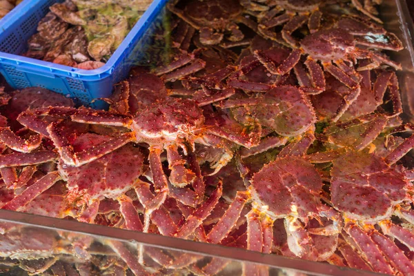 Crabes Royaux Japonais Vivants Sur Marché — Photo