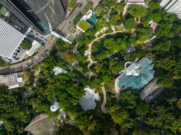 Hong Kong Parkının Tepeden Aşağı Manzarası — Stok fotoğraf