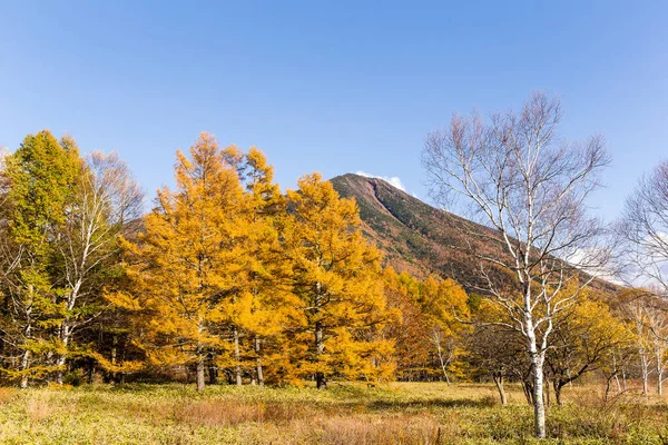 Beautiful Scenery Landscape Autumn Season — Stock Photo, Image