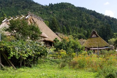 Japonya 'nın kırsal Kyoto ilinin Miyama ilçesi