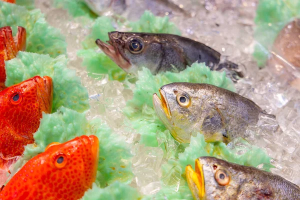 Ryby Sprzedawane Mokrym Rynku — Zdjęcie stockowe
