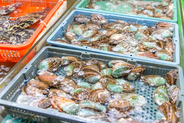 湿市场销售新鲜生鲍鱼 — 图库照片